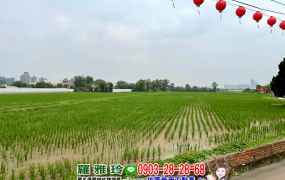 【八德新霄裡段】近忠貞市場地形方正千坪農地