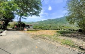 觀溪山莊農地★退休度假勝地