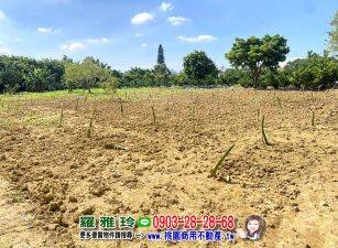 【平鎮南勢平安段】邊間大面寬三角大面積美農地