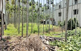 六龜和平路上2.26分方正農地|有水電