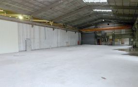 大園交流道旁挑高鋼構廠倉庫/大台北大桃園工業地廠房租