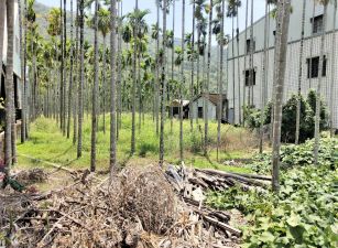 六龜和平路上2.26分方正農地|有水電