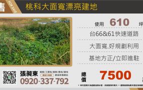 桃科大面寬漂亮建地