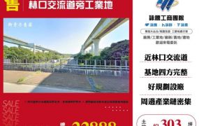 林口交流道旁工業地300