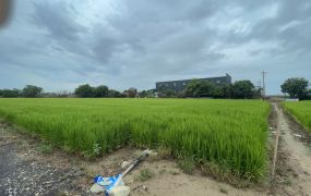 太保新埤農地25-005 052337228