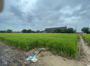 太保新埤農地25-005 052337228