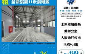 全新挑高11米鋼骨廠房155