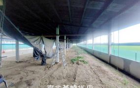 嘉義區 -  鹿草合法鵝寮 - 1980萬