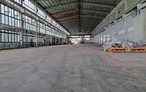 大園挑高10米天車廠房(可廠登)
