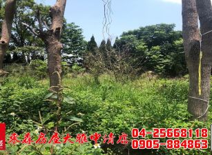 東森房屋大雅中清店-大面寬小農地