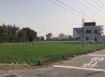 苗栗苑裡9900坪工業地