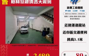 樹林低總價透天廠房