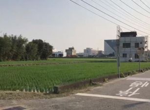 苗栗苑裡9900坪工業地