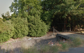 正斗功路旁大面寬田+建