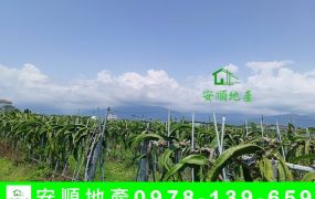 台東農地-大業段寬大農地