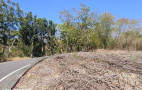 龍華山莊丙種建築用地,,有喜歡出價來談