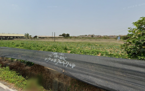 大社 嘉誠 大面積農地