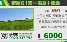 新屋一般農+建地