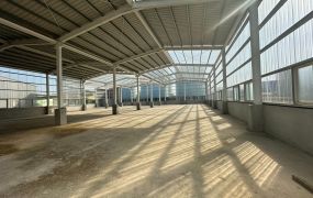 全新合法挑高鋼構廠房/大台北大桃園工業地廠房租賃買賣