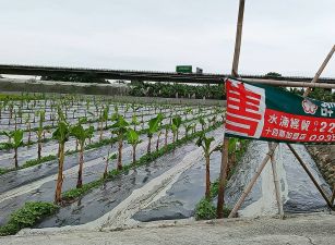 雲林近國3交流道農地