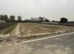 雲林林內近交流道農地