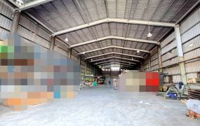蘆竹正路邊挑高鋼構廠房