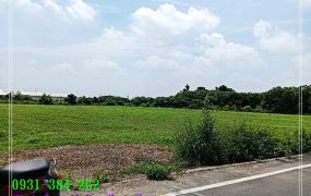 佳里近信義國小農地台南培倫房屋土地王H。蝸牛居0931384262