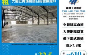 大園近青埔高鐵分租倉庫廠/A1