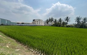 霧峰近大學醫院平農地