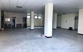 20米路旁店面廠房