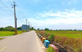 埔頂國小農地