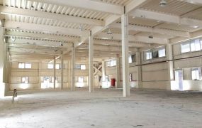 正大園工業區25米路旁方正鋼構廠房