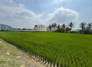 霧峰近大學醫院平農地