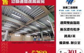 幼獅邊間挑高廠房155