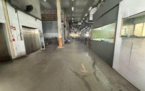 樹林挑高7米收租鋼構廠房