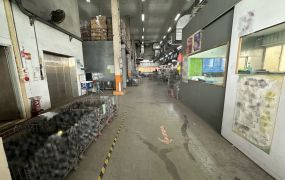 樹林柑園挑高鋼構廠房/大台北大桃園工業地廠房租賃買賣