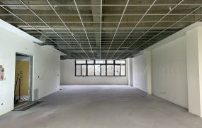 林口交流道旁挑高/收租電梯廠房