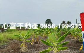 阿蓮農地生機蓬勃~總價低負擔小