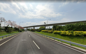 楊梅30米路旁雙面路工業地
