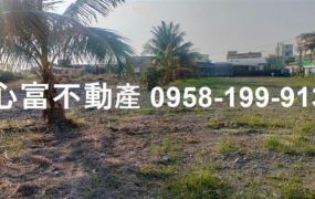 林園海濱景觀建地超低單價
