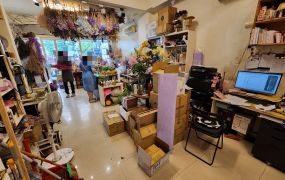桃園藝文特區G10美透天店面
