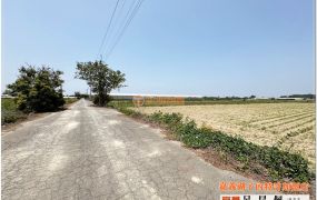 六腳潭子墘3.5分農地  台灣阿魯米 嘉義建地農地