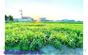 新吉段角窗一般農地台南培倫房屋土地王H。蝸牛居0931384262