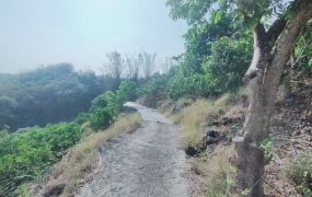 東山區 -  東山低總價農地 - 288萬