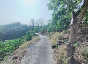 東山區 -  東山低總價農地 - 288萬