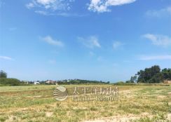 金門海邊農地可望海迎晨曦