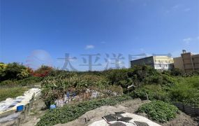 新市鎮臨路百坪建地