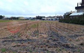 田野休閒好農地