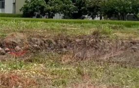 大甲都內投資農地
