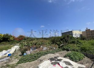 新市鎮臨路百坪建地